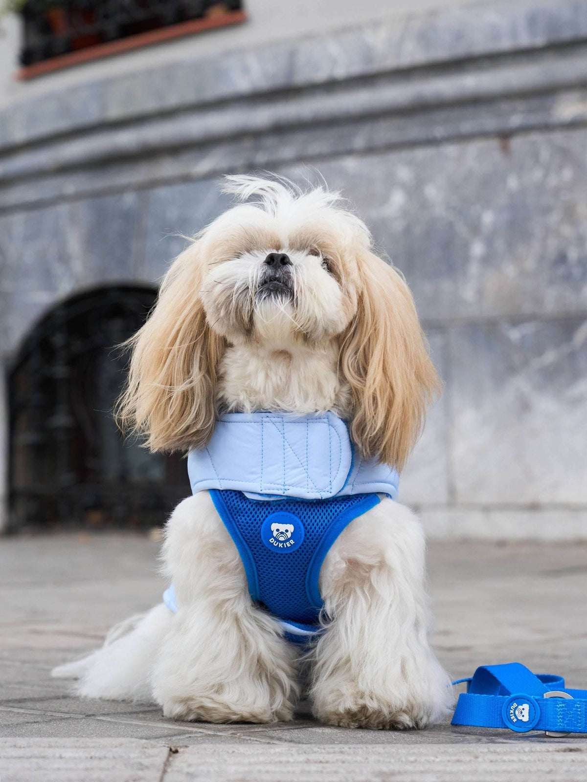 ABRIGO PARA PERRO BLUE