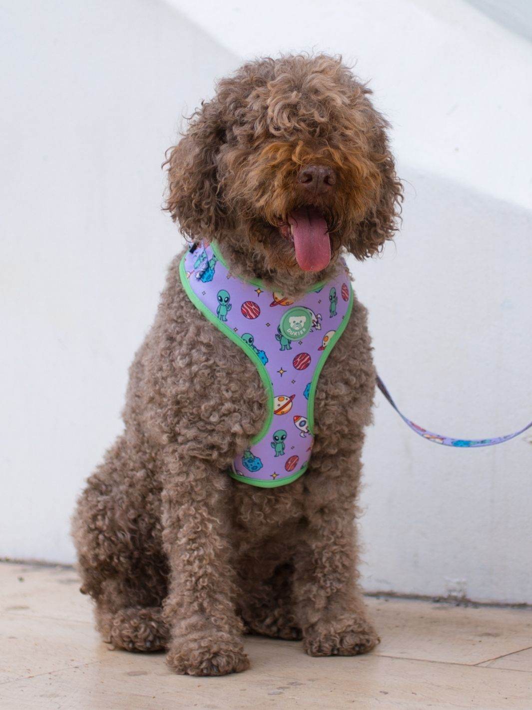 ARNES AJUSTABLE PARA PERRO ALIEN