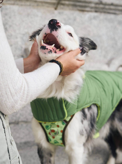 ABRIGO PARA PERRO GREEN