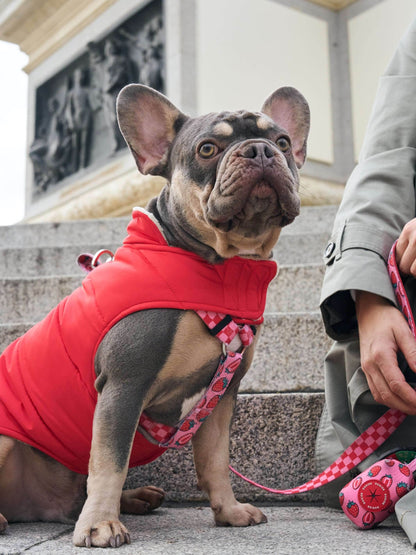 ABRIGO PARA PERRO RED