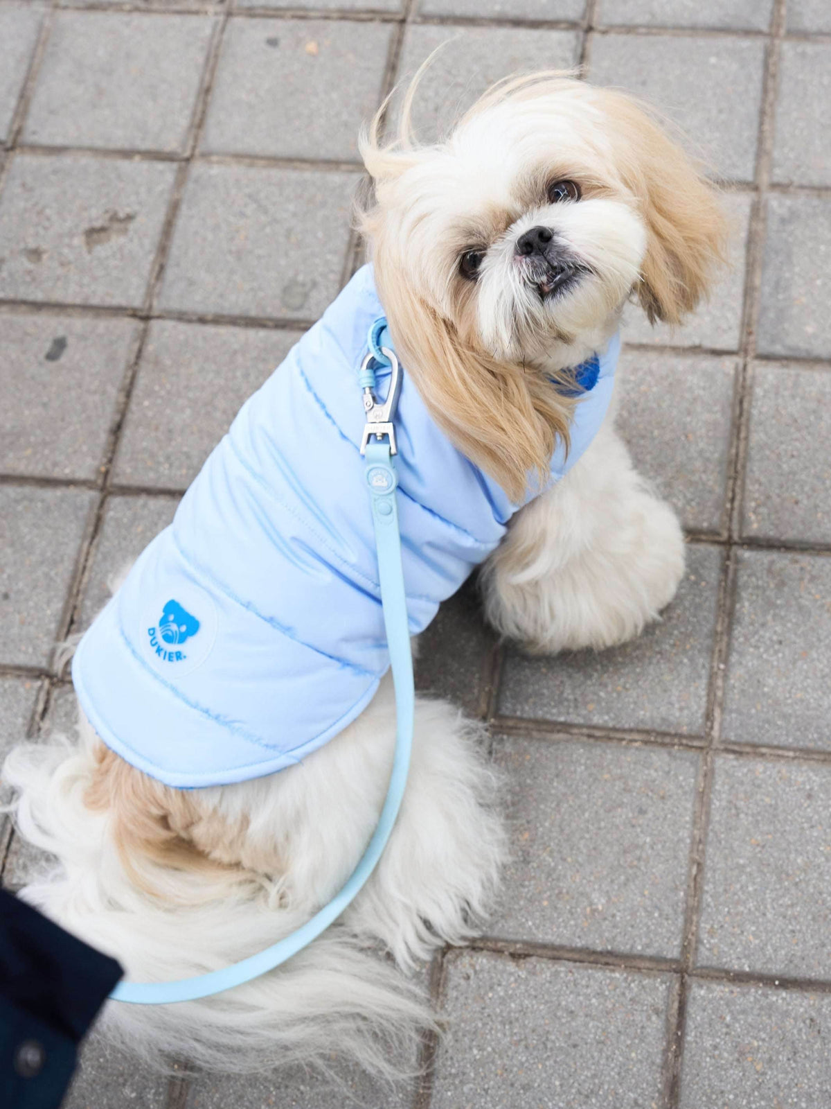ABRIGO PARA PERRO BLUE