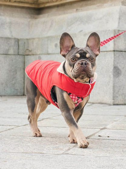 ABRIGO PARA PERRO RED