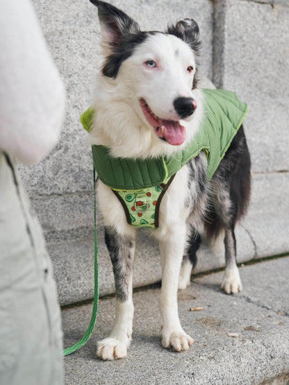 ABRIGO PARA PERRO GREEN