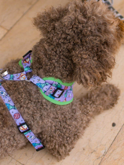 ARNES AJUSTABLE PARA PERRO ALIEN
