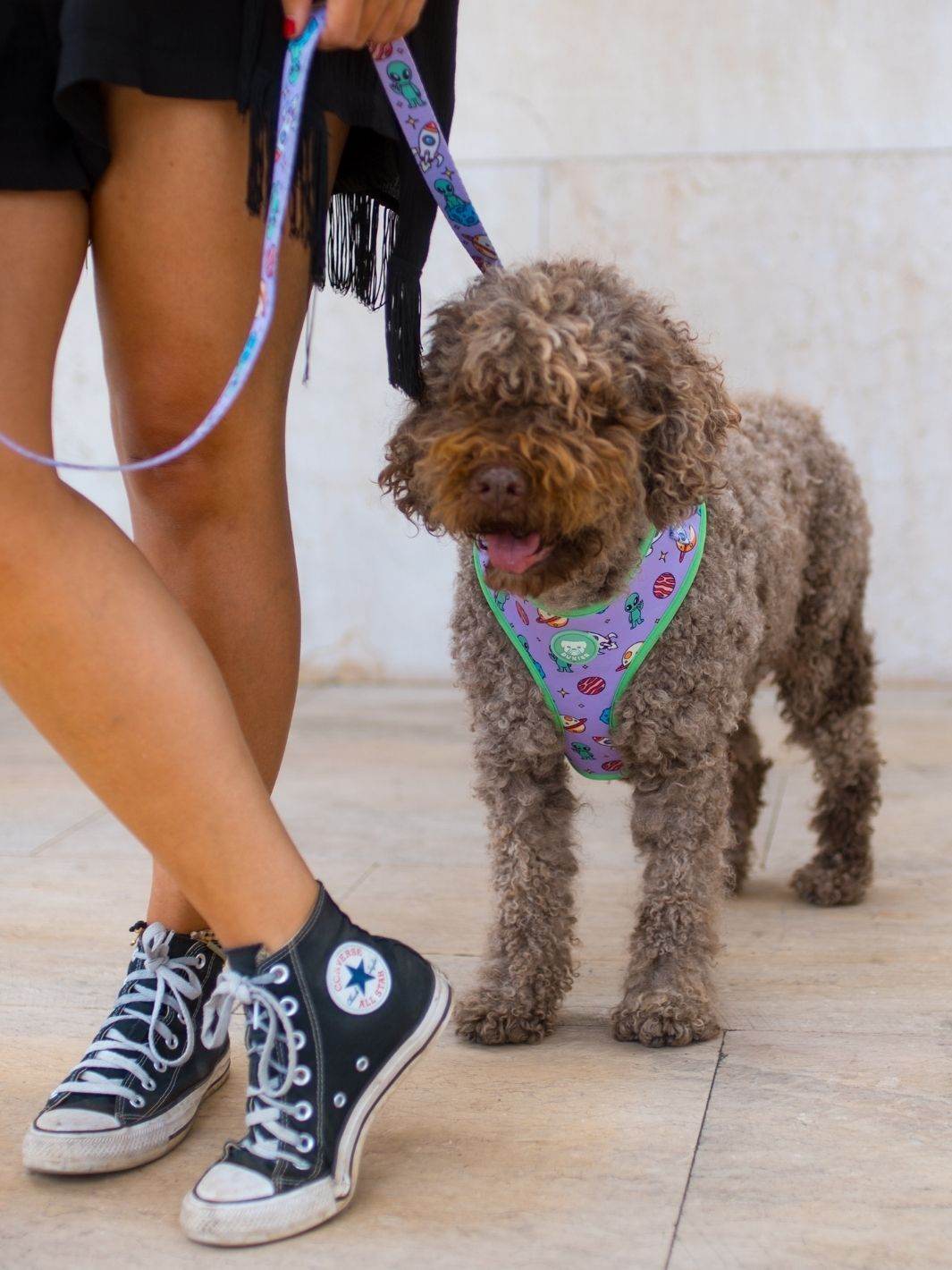 ARNES AJUSTABLE PARA PERRO ALIEN