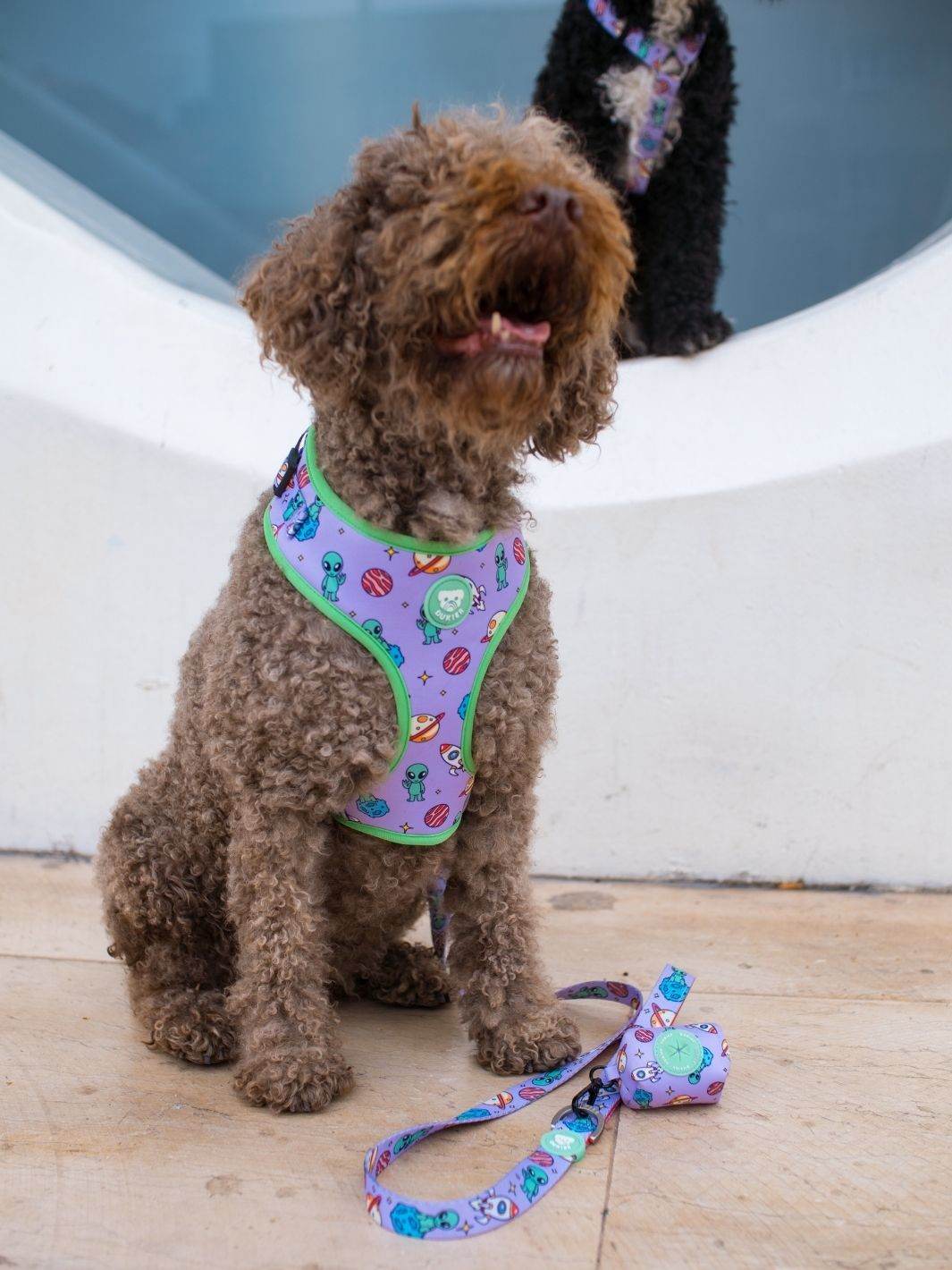 ARNES AJUSTABLE PARA PERRO ALIEN