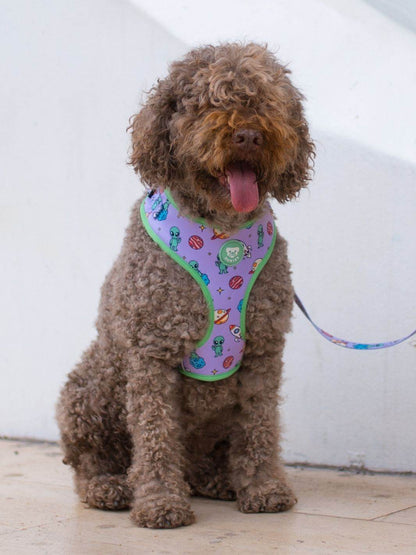 ARNES AJUSTABLE PARA PERRO ALIEN