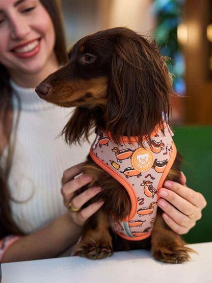 ARNES AJUSTABLE PARA PERRO HOT DOGS