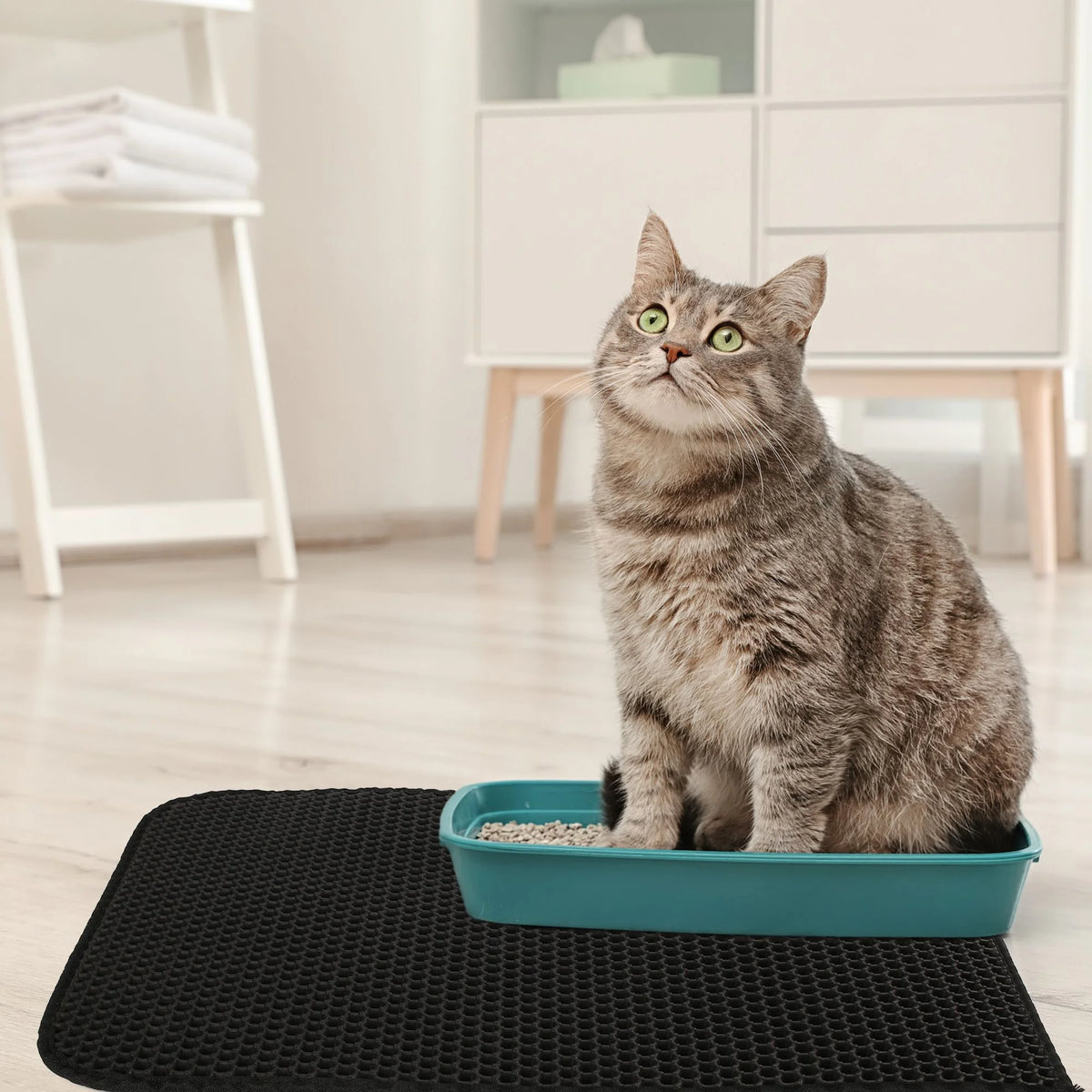 Premium Cat Litter Mat - Double Layer Waterproof Trapper, Non-Slip Design, 24x15 inches in Elegant Black
