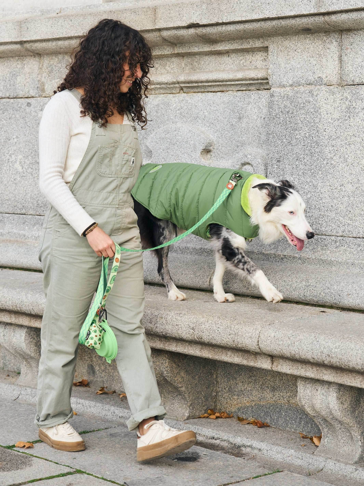 ABRIGO PARA PERRO GREEN