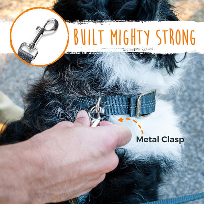 Double Dog Leash - Ultimate No Tangle Solution for Walking Two Dogs Together, Adjustable for All Breeds, Reflective Design for Safety