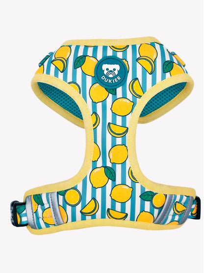 ARNES AJUSTABLE PARA PERRO LEMONS