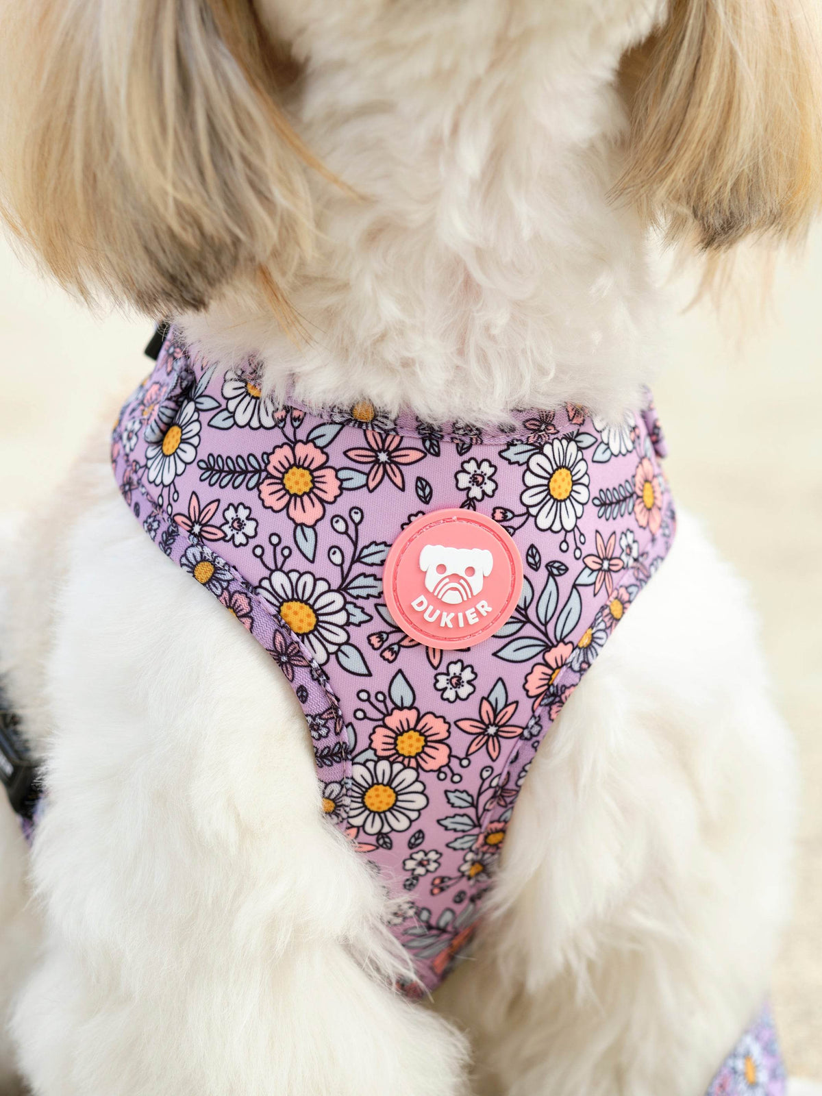 ARNES AJUSTABLE PARA PERRO FLOWER POWER