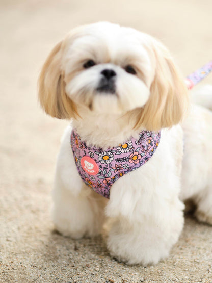 ARNES AJUSTABLE PARA PERRO FLOWER POWER