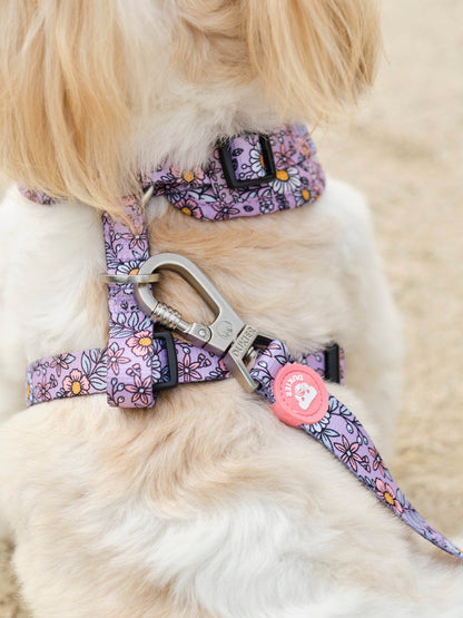 ARNES AJUSTABLE PARA PERRO FLOWER POWER