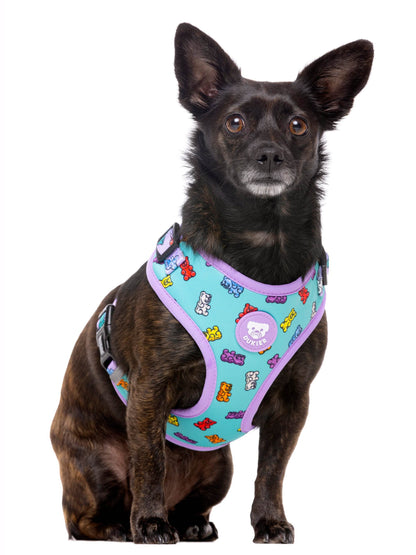ARNES AJUSTABLE PARA PERRO GUMMY BEARS