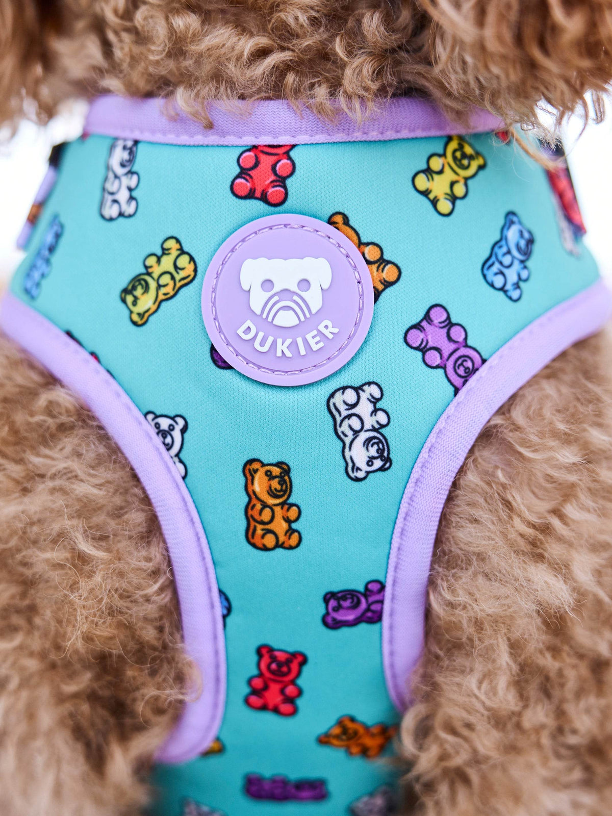 ARNES AJUSTABLE PARA PERRO GUMMY BEARS