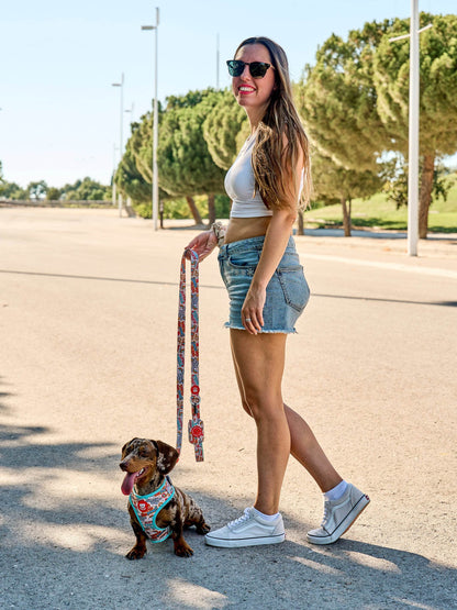ARNÉS AJUSTABLE PARA PERRO STICKERS