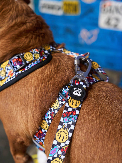 ARNES AJUSTABLE PARA PERRO GRUNGE