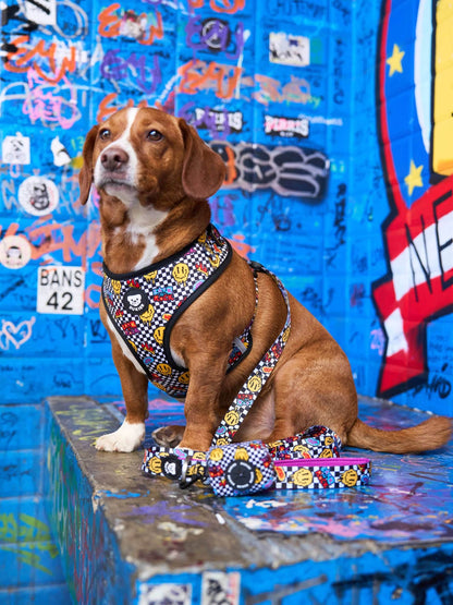 ARNES AJUSTABLE PARA PERRO GRUNGE