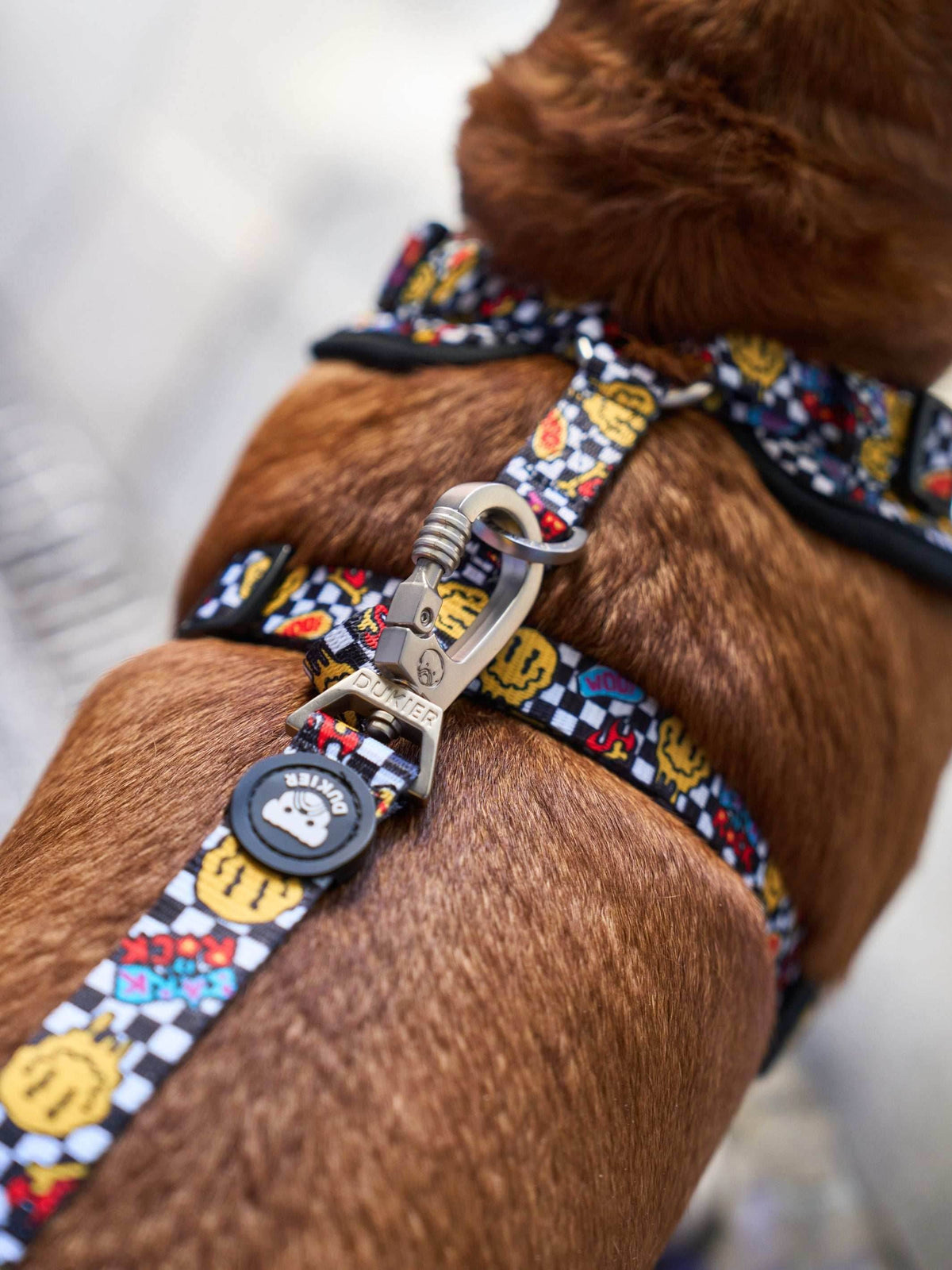 ARNES AJUSTABLE PARA PERRO GRUNGE