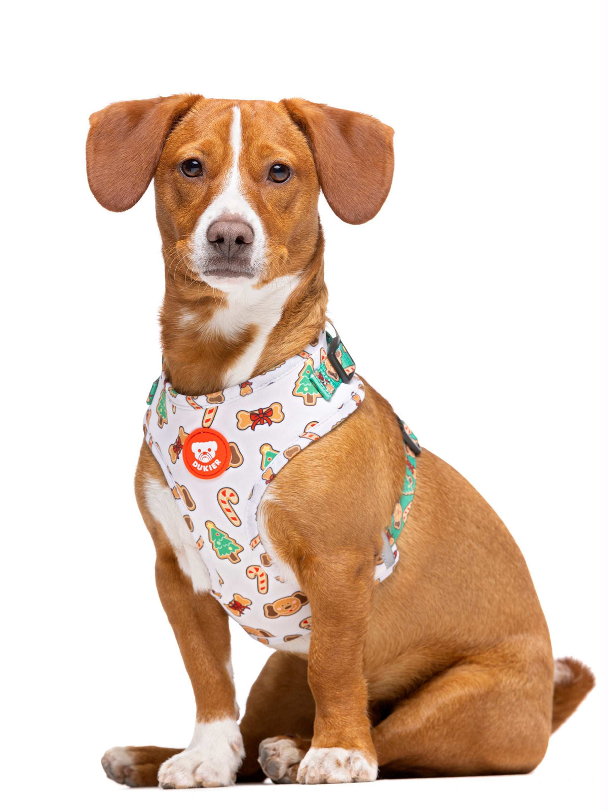 ARNÉS AJUSTABLE PARA PERRO GINGER BREAD