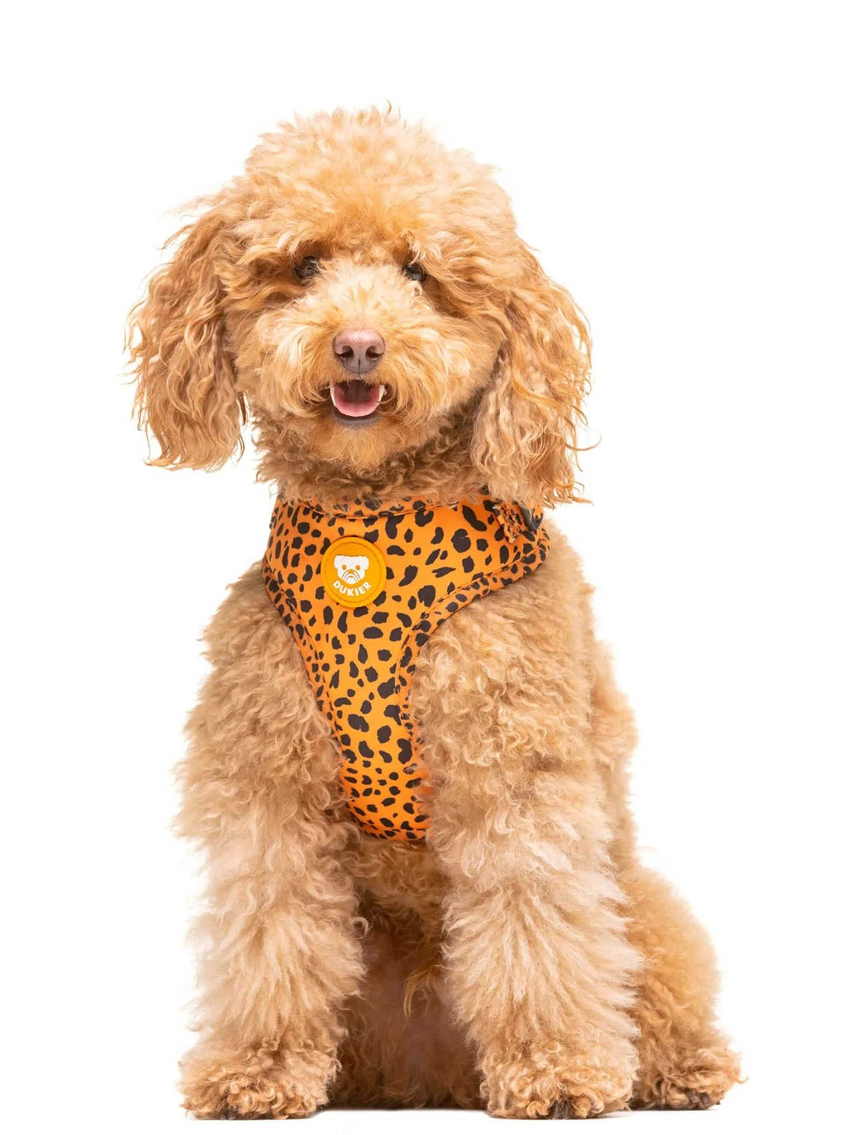 ARNÉS AJUSTABLE PARA PERRO CHEETAH GOLD