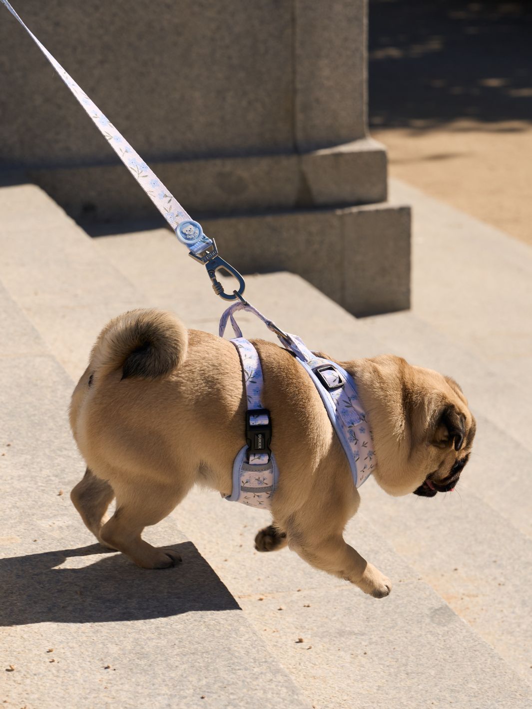 ARNÉS AJUSTABLE PARA PERRO BLOOM