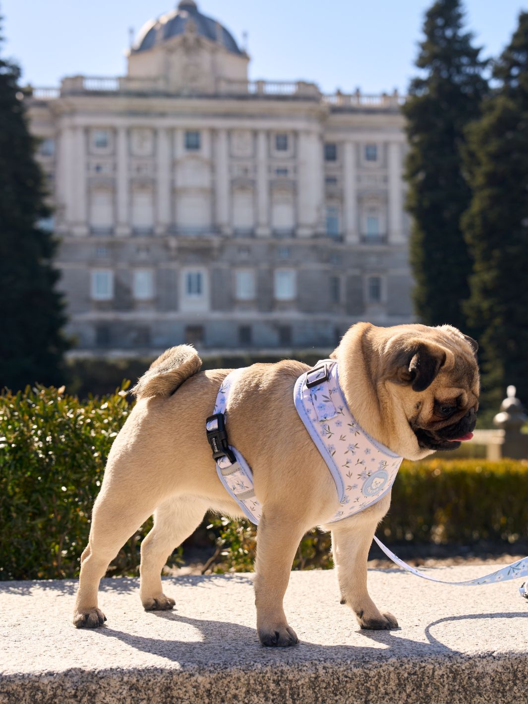 ARNÉS AJUSTABLE PARA PERRO BLOOM