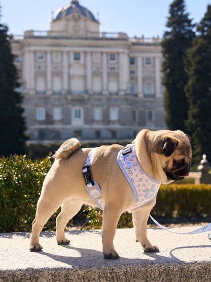 ARNÉS AJUSTABLE PARA PERRO BLOOM