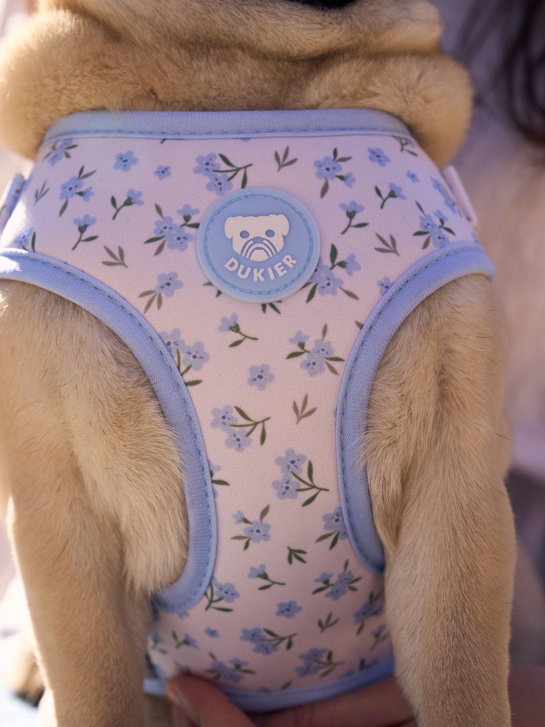 ARNÉS AJUSTABLE PARA PERRO BLOOM