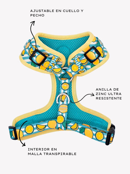 ARNES AJUSTABLE PARA PERRO LEMONS
