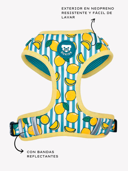 ARNES AJUSTABLE PARA PERRO LEMONS