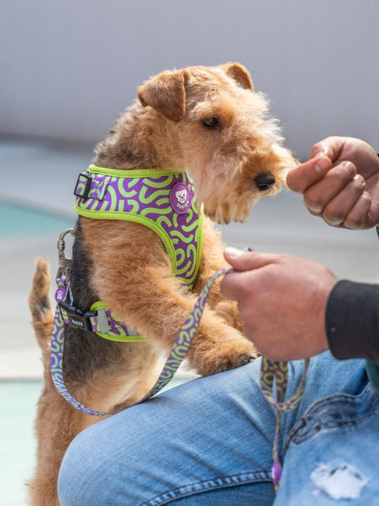 ARNÉS AJUSTABLE PARA PERRO KALEIDO LIME SWIRL