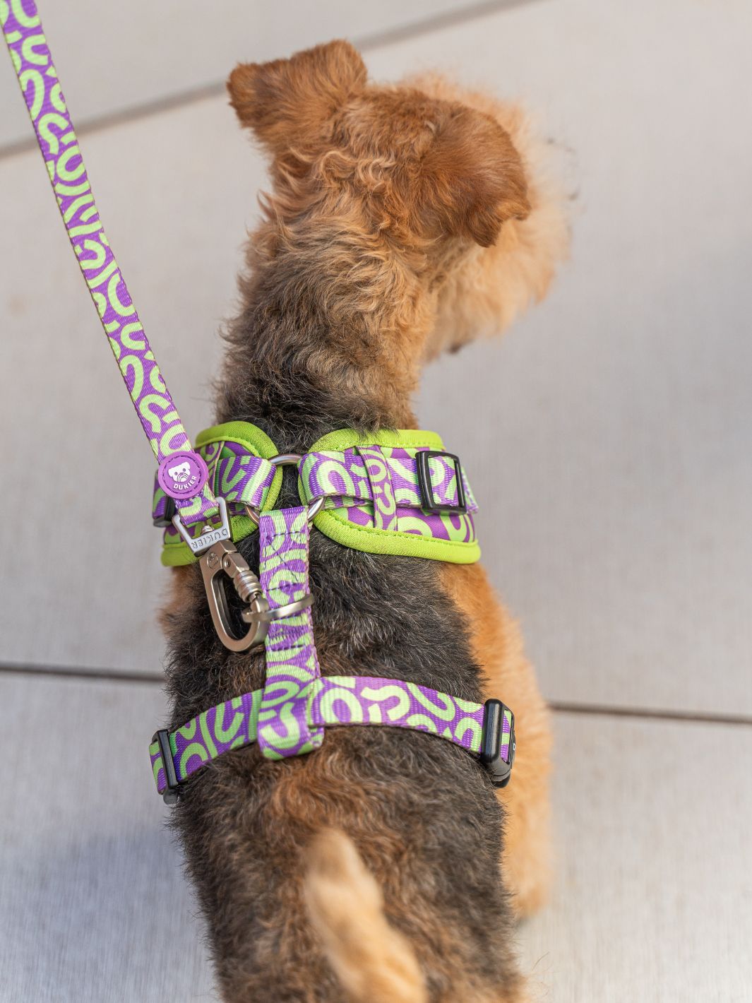 ARNÉS AJUSTABLE PARA PERRO KALEIDO LIME SWIRL