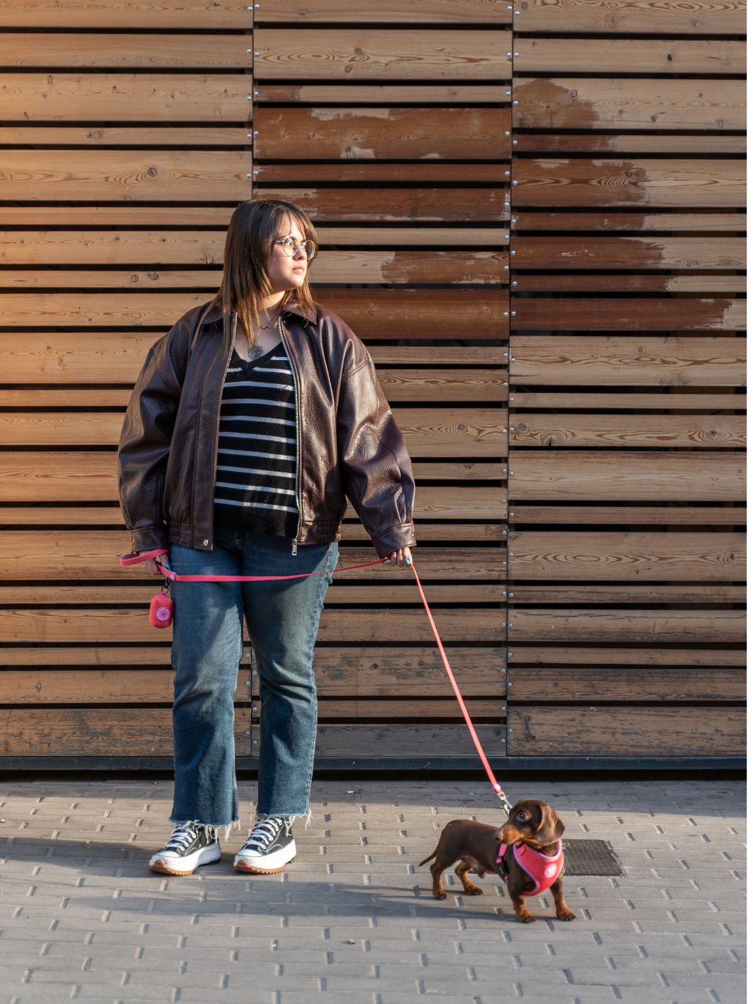 ARNÉS AJUSTABLE PARA PERRO KALEIDO PINK GRID