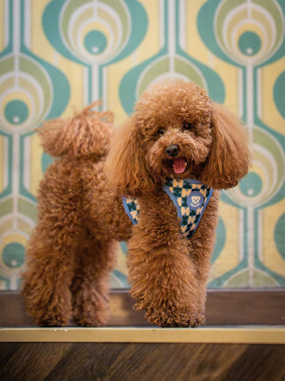 ARNÉS AJUSTABLE PARA PERRO KALEIDO RETRO TIDE