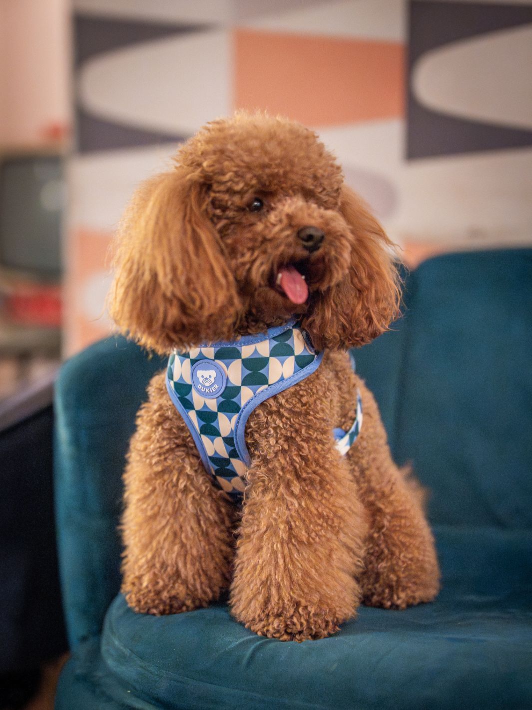 ARNÉS AJUSTABLE PARA PERRO KALEIDO RETRO TIDE