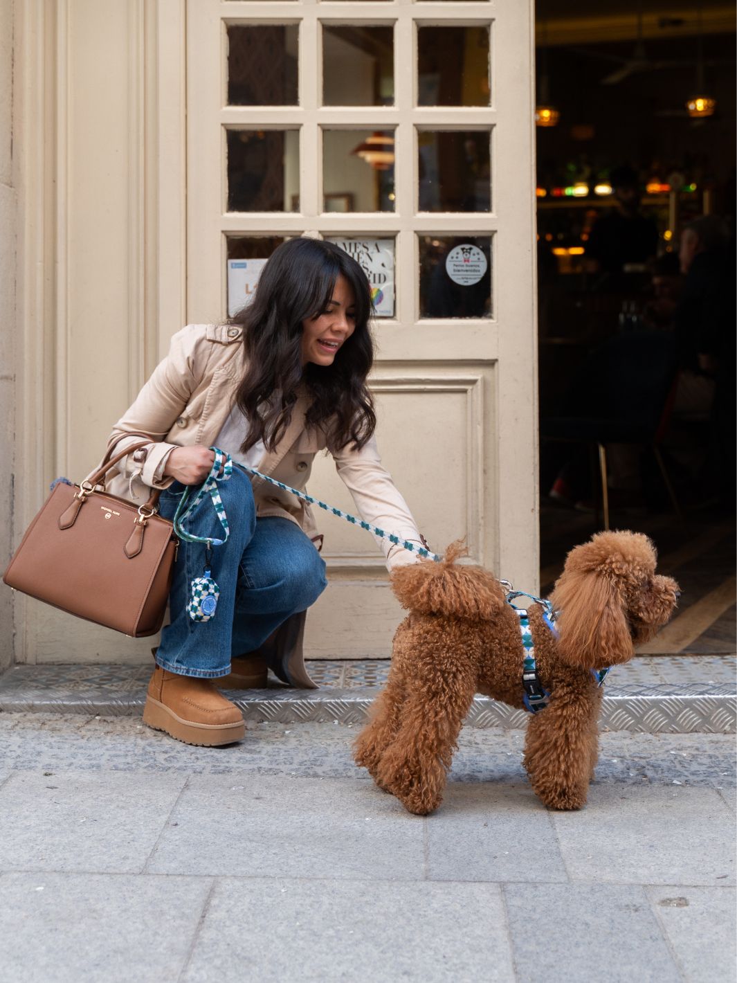 ARNÉS AJUSTABLE PARA PERRO KALEIDO RETRO TIDE
