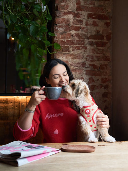 ARNÉS AJUSTABLE PARA PERRO LOVE