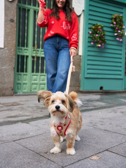 ARNÉS AJUSTABLE PARA PERRO LOVE