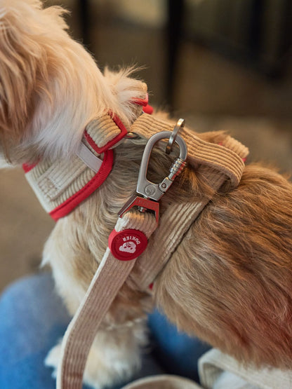 ARNÉS AJUSTABLE PARA PERRO LOVE