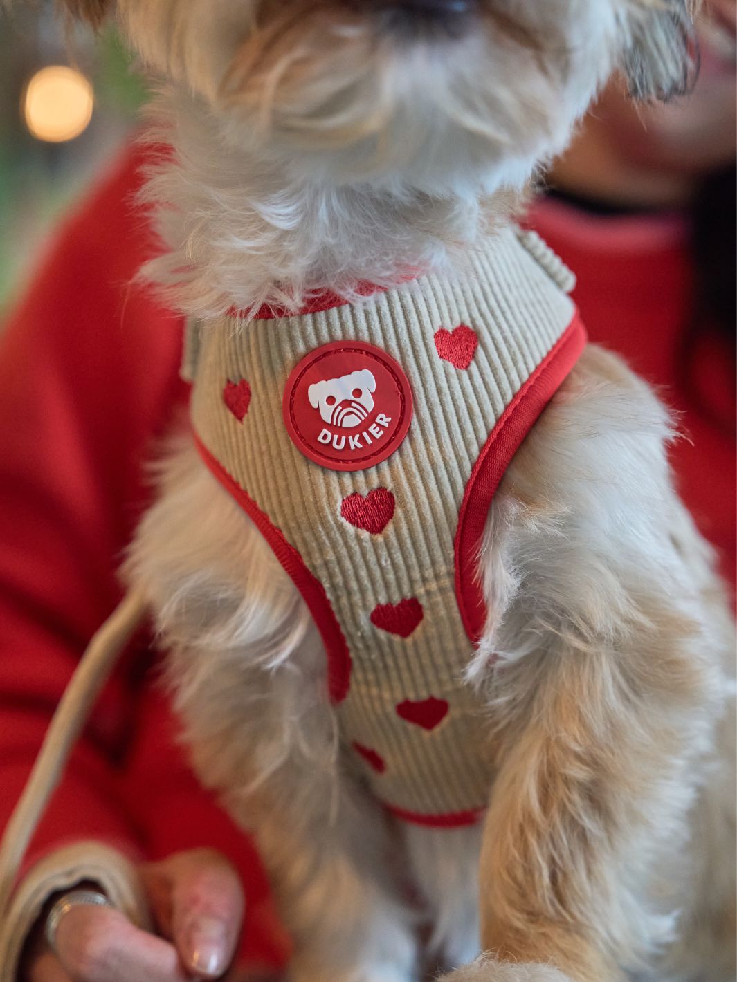 ARNÉS AJUSTABLE PARA PERRO LOVE