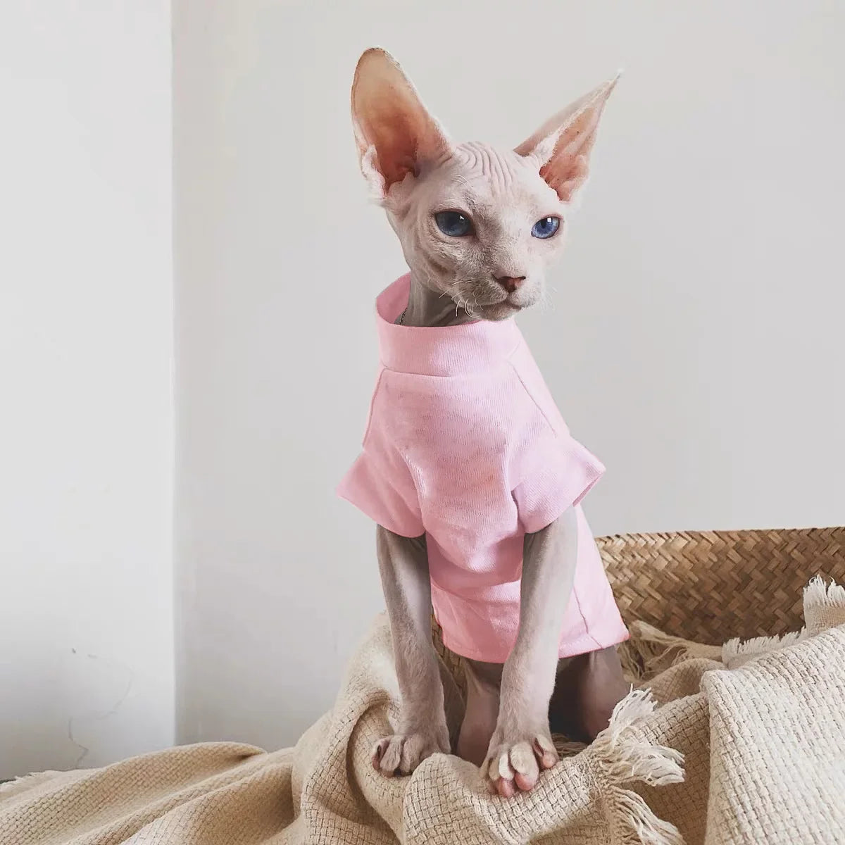 Chaleco de Algodón Fino para Gatos Sin Pelo (Sphynx y Razas Similares)
