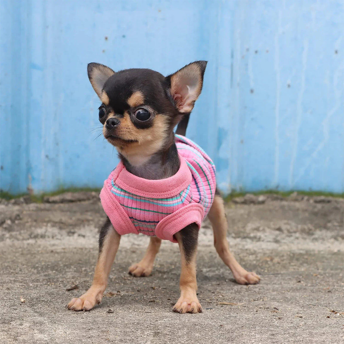 Chaleco de Camisa Acanalada para Perros Pequeños