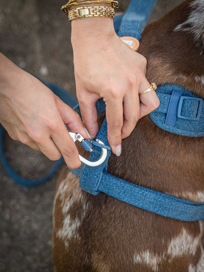 ARNÉS AJUSTABLE PARA PERRO CACTUS