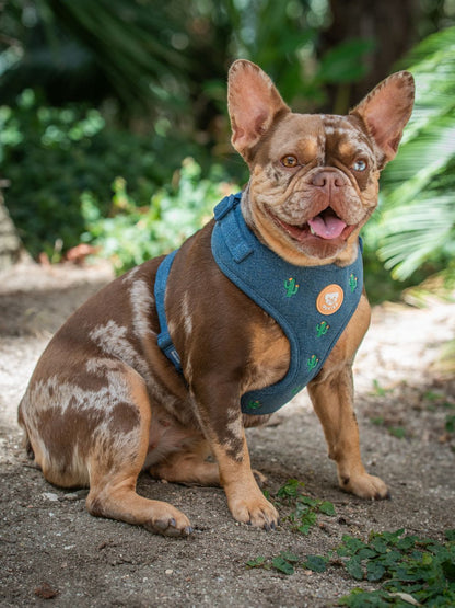 ARNÉS AJUSTABLE PARA PERRO CACTUS