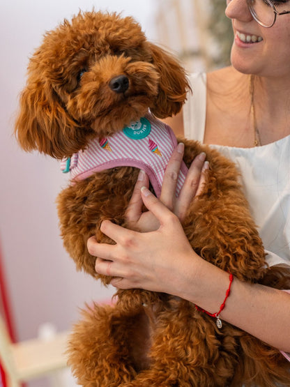 ARNÉS AJUSTABLE PARA PERRO ICE CREAM