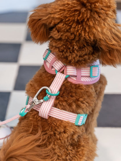 ARNÉS AJUSTABLE PARA PERRO ICE CREAM