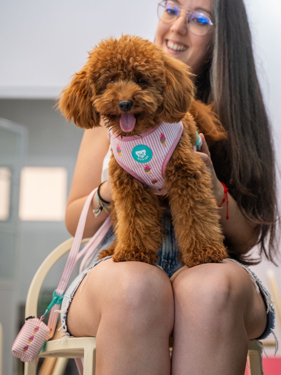 ARNÉS AJUSTABLE PARA PERRO ICE CREAM
